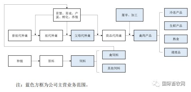 家禽巨頭江蘇益客食品創業板上市,募資10億元主攻肉鴨產業|養殖戶|飼