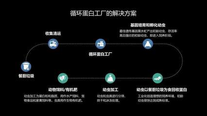 國內每年產生1億噸餐廚廚余垃圾，豐晟生態通過黑水虻飼養打造循環蛋白家禽孵化